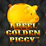 Golden pig